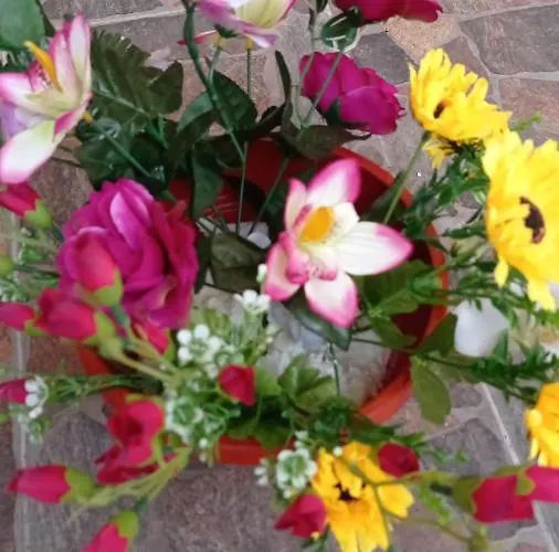 בית אירוח Casa Cristina Bianca