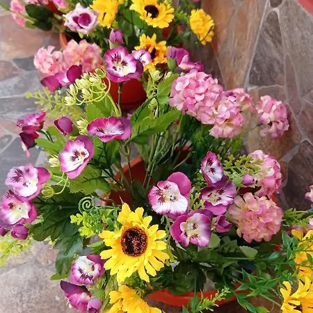 Casa Cristina Bianca * Észak-Eforie