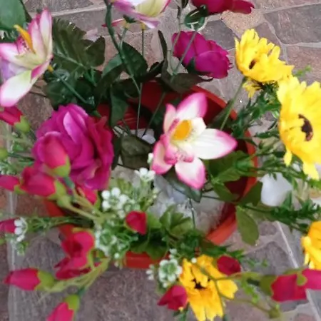 Homestay szállás Casa Cristina Bianca