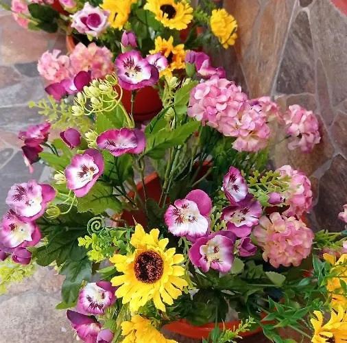 Casa Cristina Bianca * Eforie Nord