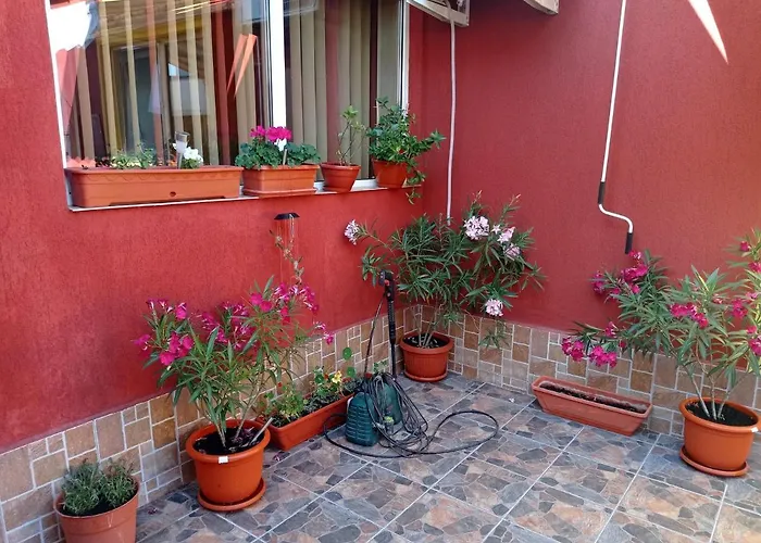 Casa Cristina Bianca Gazde/Camere de închiriat *